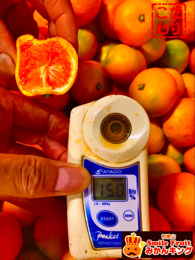 絶品‼️糖度15度越え‼️プレミアムみかんキング　旬味有田みかん　宮川早生 10Kg