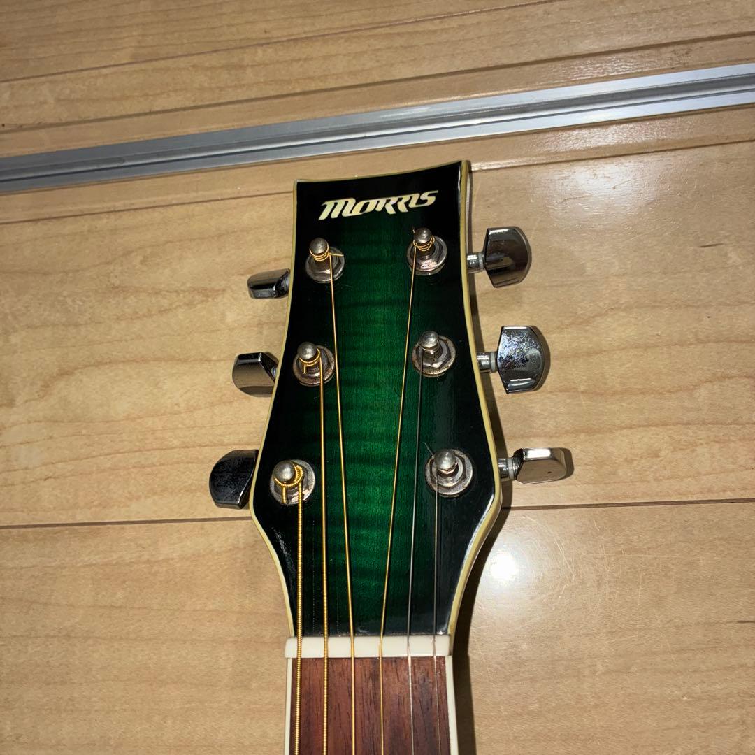 激トラ目　Morris MR-451FBU エレアコ　モーリス