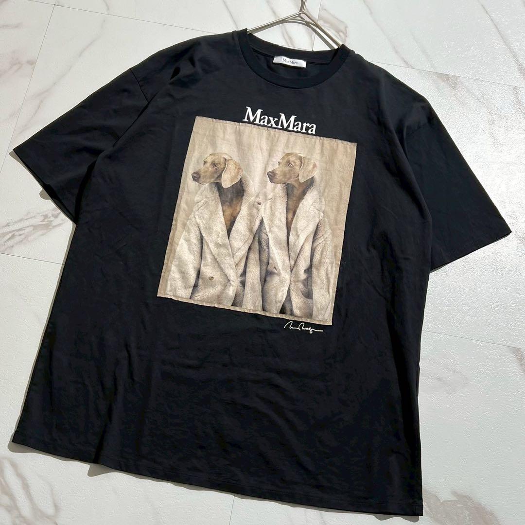 【美品】マックスマーラ 23ss プリントTシャツ 犬 白タグ コットン 黒 M