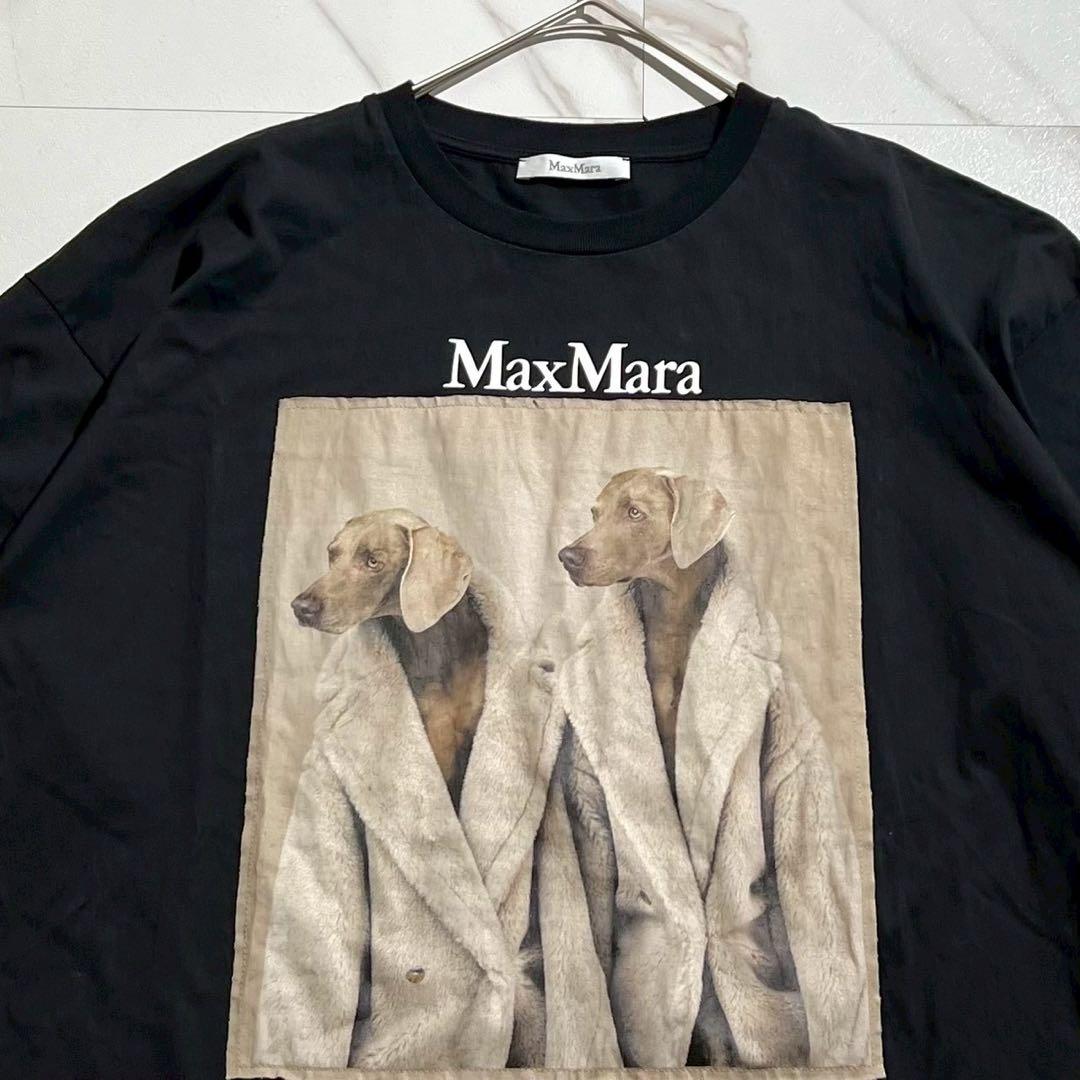 【美品】マックスマーラ 23ss プリントTシャツ 犬 白タグ コットン 黒 M