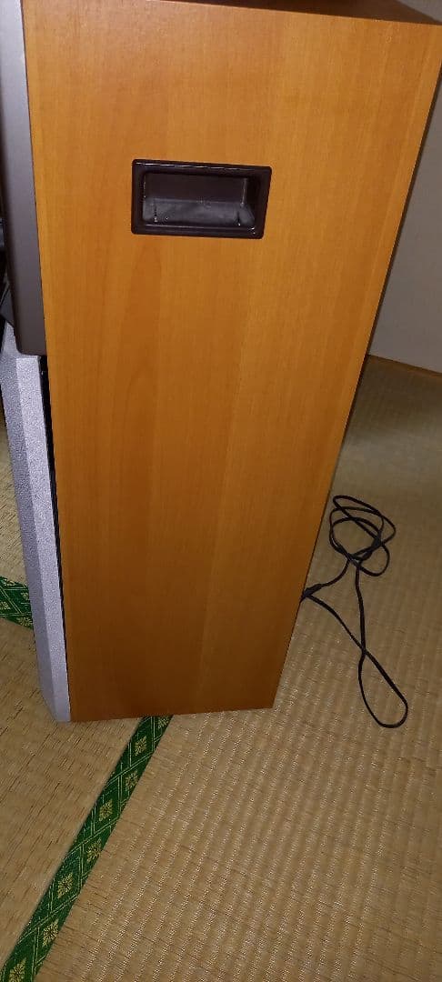 ラビットさん専用　未使用カラオケセット(マイク、説明書付き)　送料込み