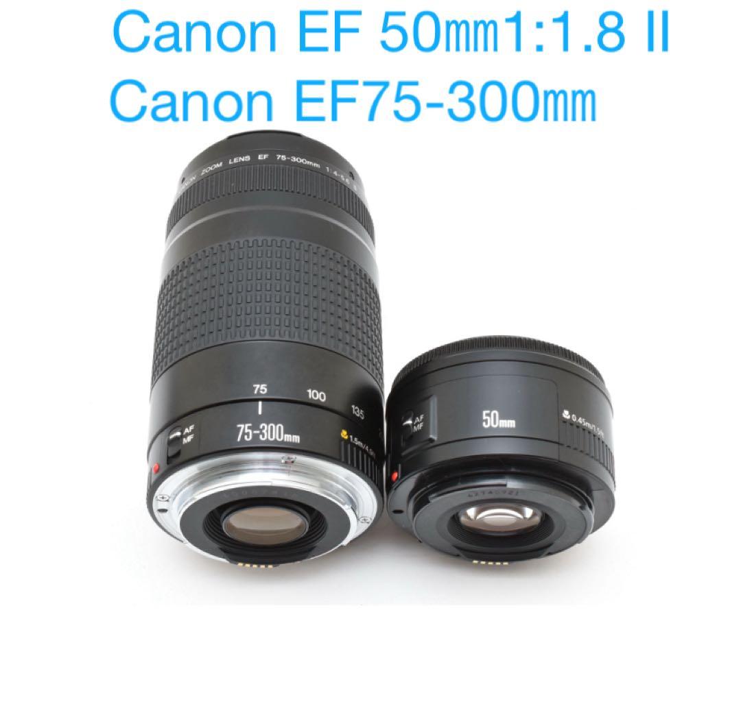 レンズ(ズーム) Canon EF 50mm F1.8 II / EF 75-300mm