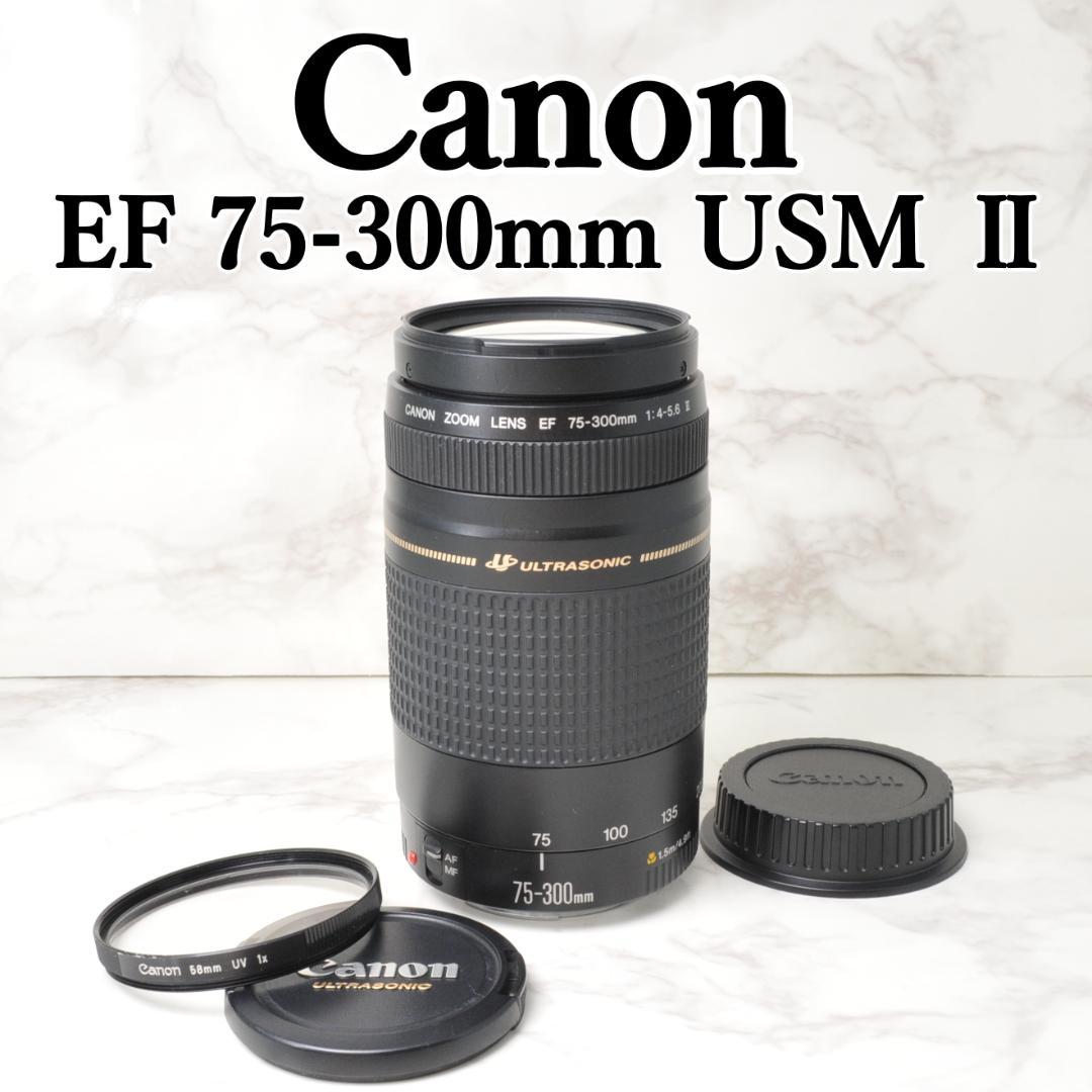 望遠レンズ❣️Canon⭐️EF 75-300mm F4-5.6 Ⅱ USM