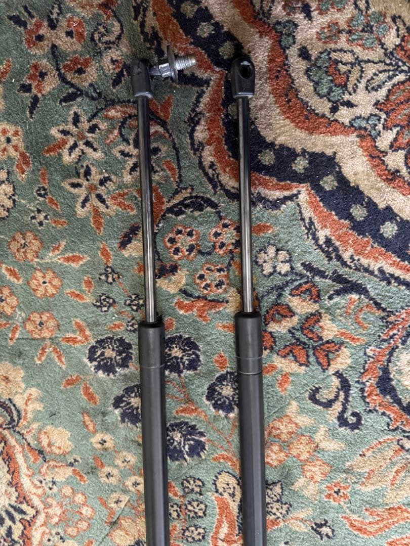 ヒロカ・サンフォード・エクスプローラーの特別なリクエスト