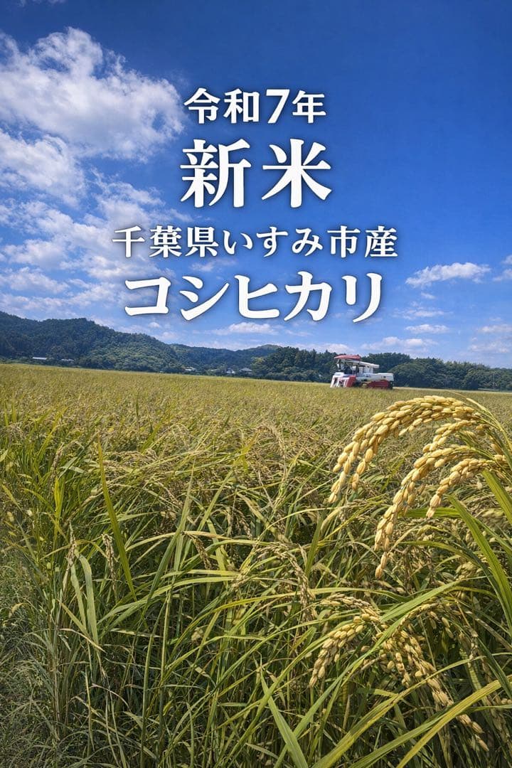 ♡最終♡令和7年千葉県いすみ市産コシヒカリ 20kg白米　無洗米　天皇献上米