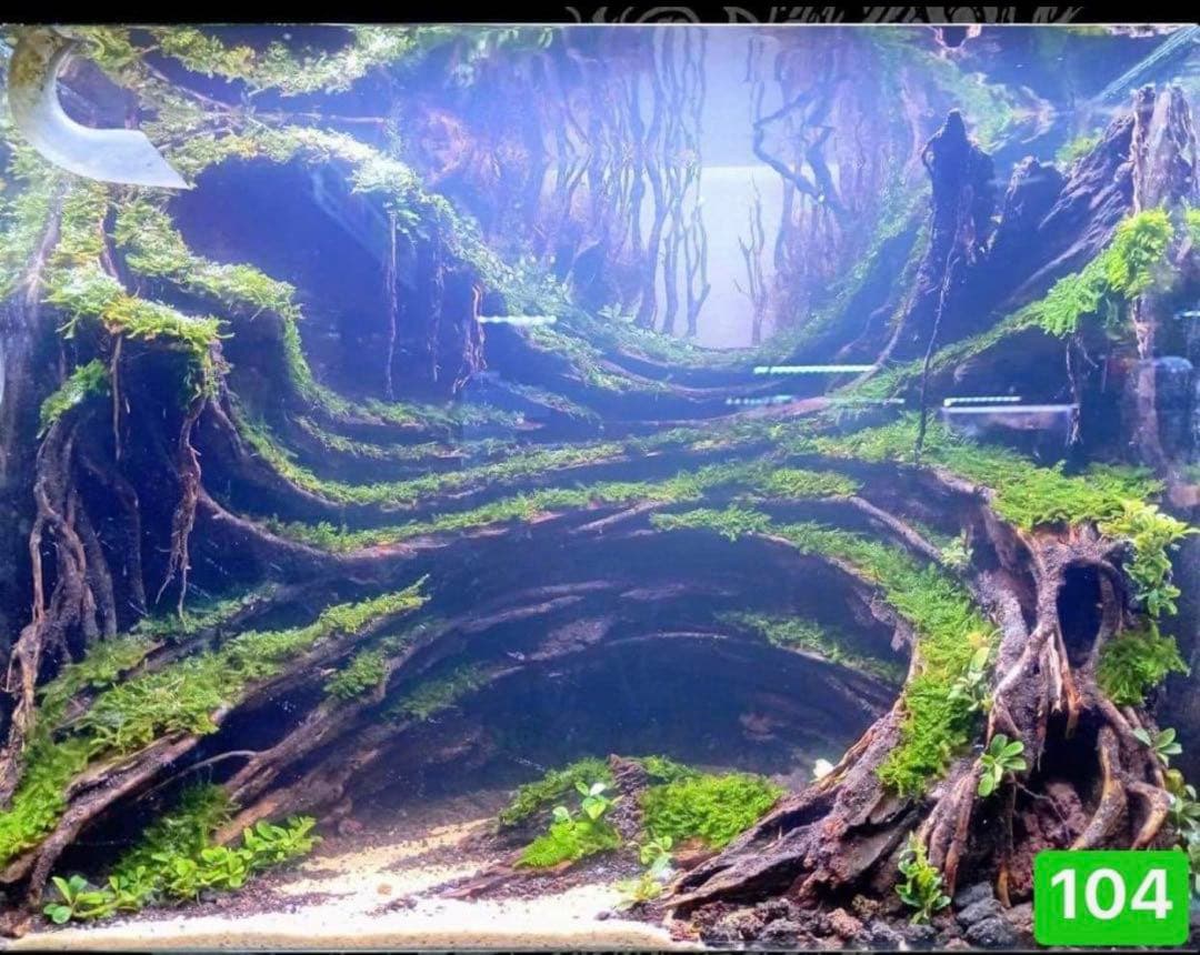 TTD 1046 【⭐︎ 即購入OK^^様⭐︎】【美品・数量限定】