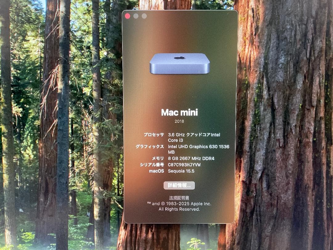 Apple Mac mini スペースグレー 本体 2018