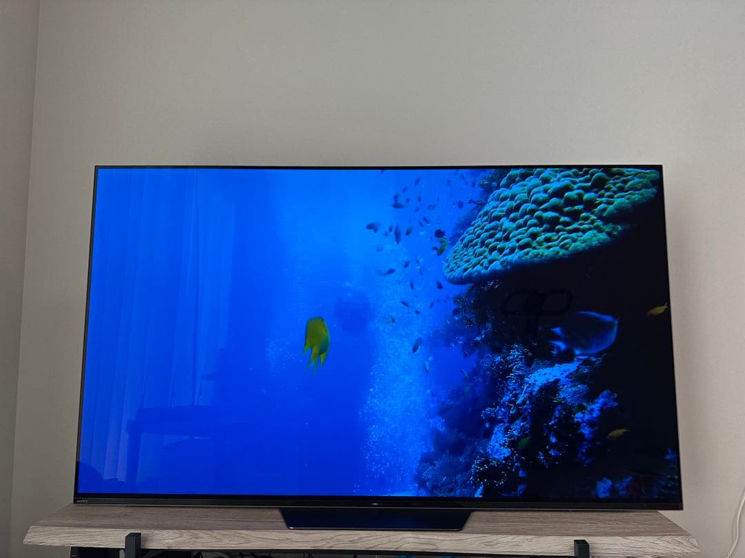 SONY BRAVIA A8F 55インチ 有機ELテレビ