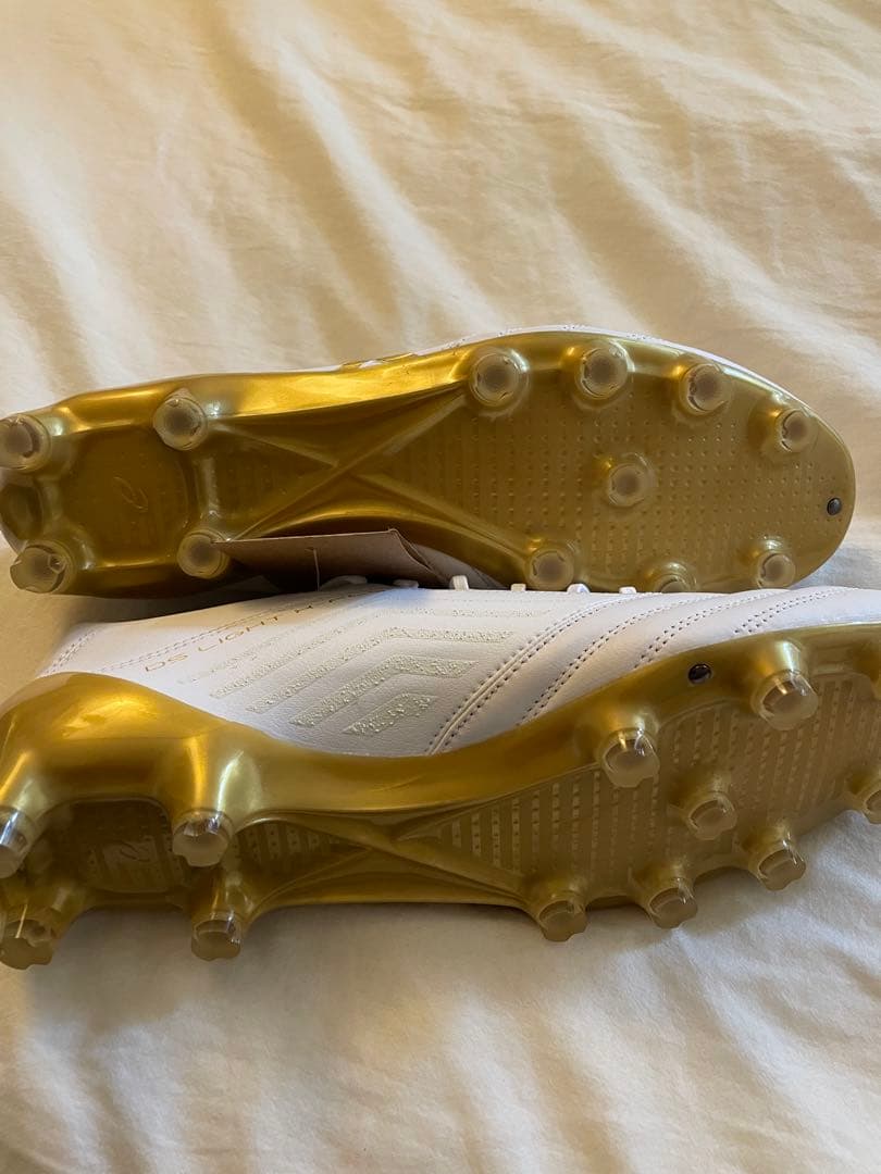 asics DS LIGHT X-FLY4 ホワイト：ゴールド