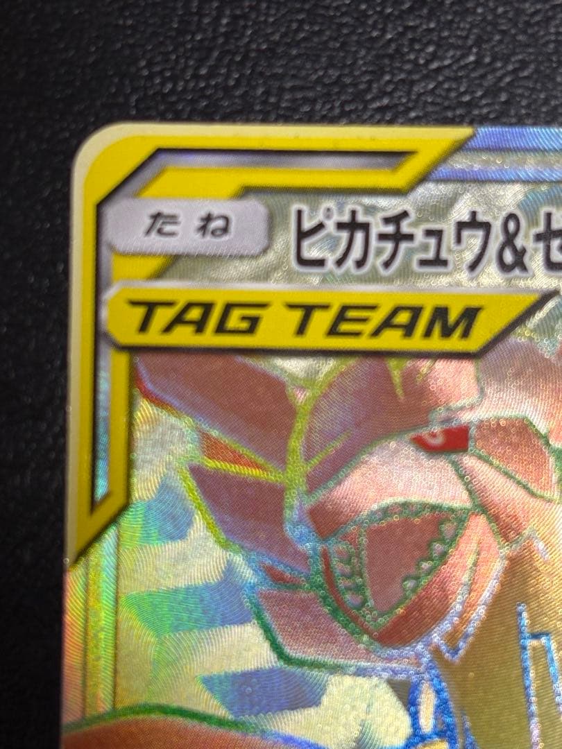 ピカチュウ＆ゼクロムGX HR 112/095