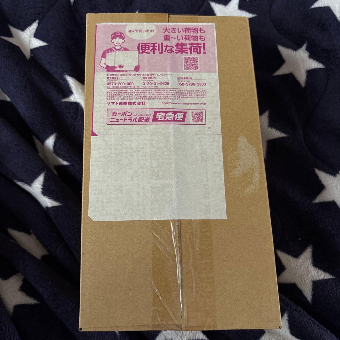 ポケモンカードゲーム 未開封配送箱　スペシャルBOX ヒロシマ