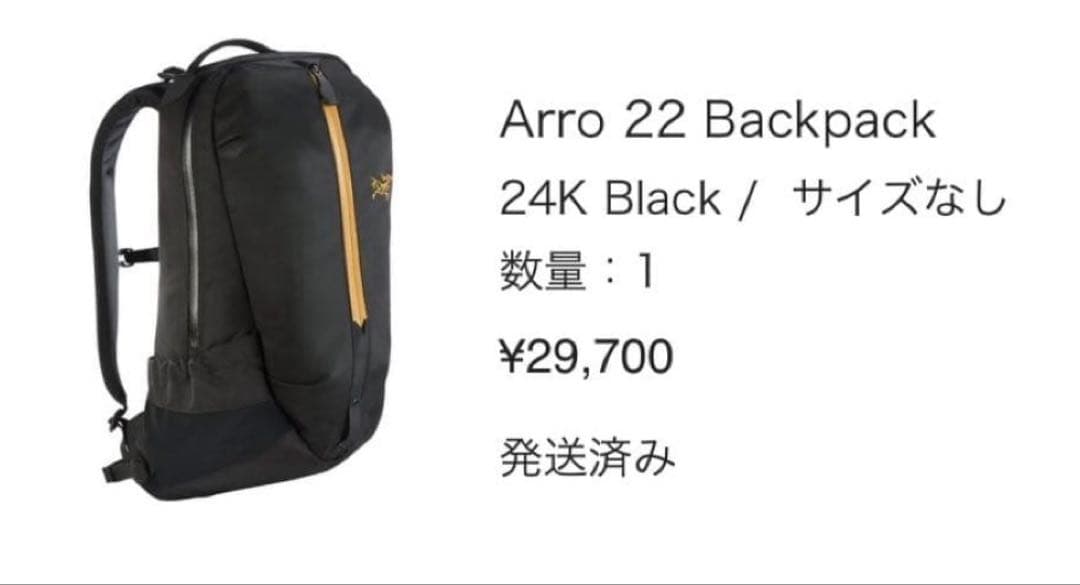 ARC'TERYX arro22 BLACK 国内正規品　現行モデル