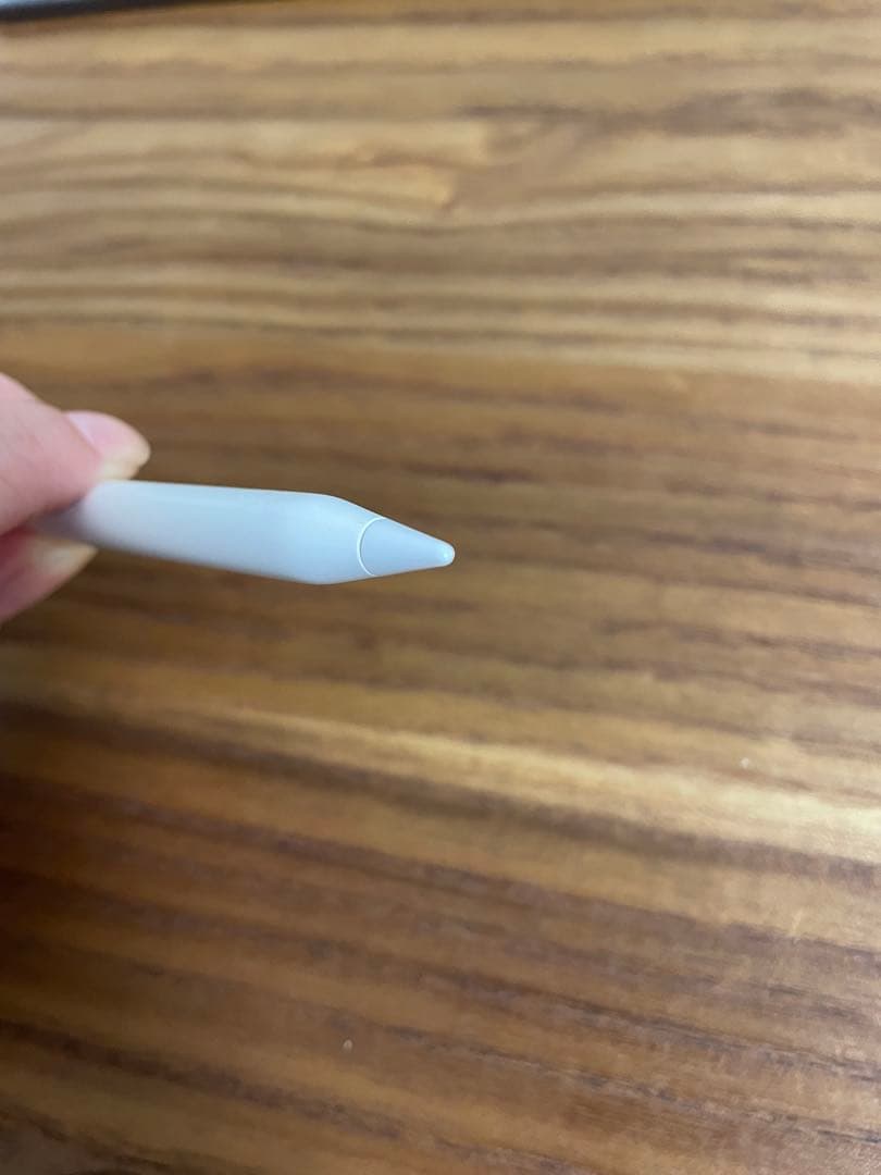 iPad Pro （第2世代）11インチとApple Pencil（第2世代）