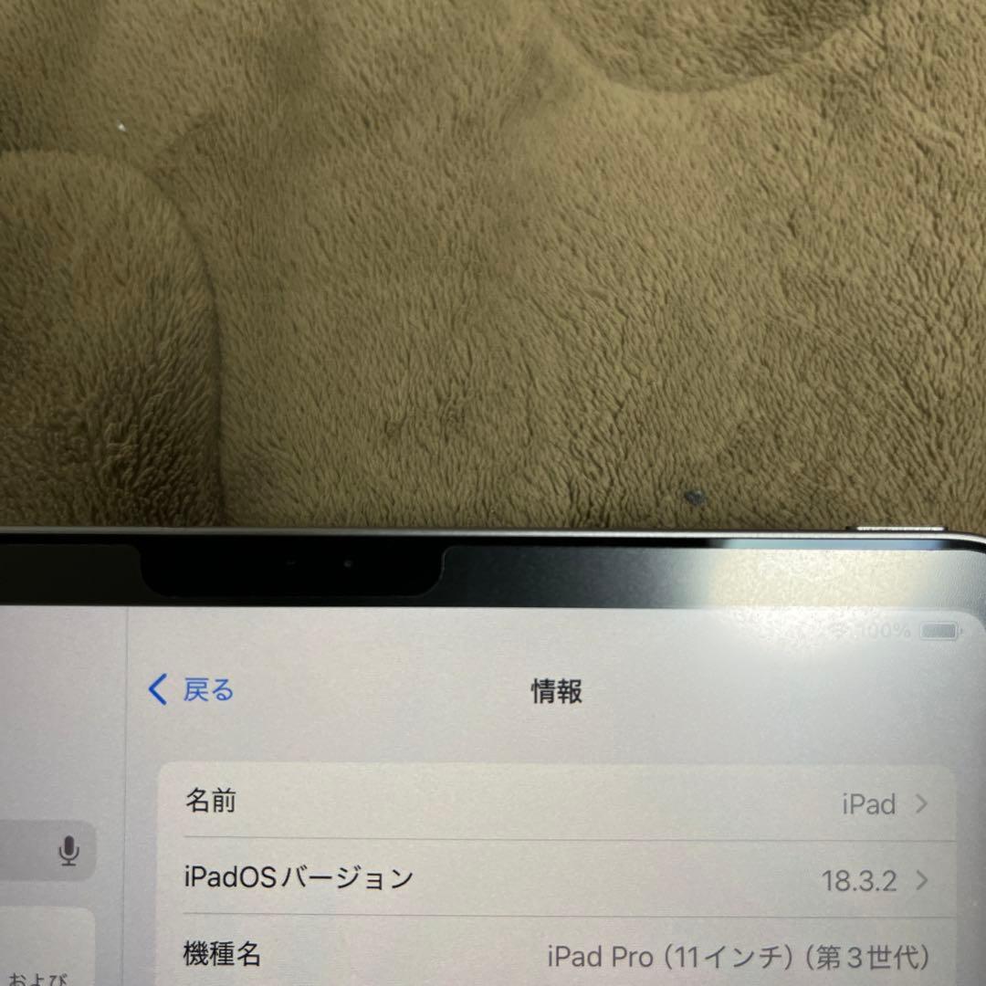 iPad Pro (11インチ) 第3世代 256GB Wi-Fiモデル本体のみ