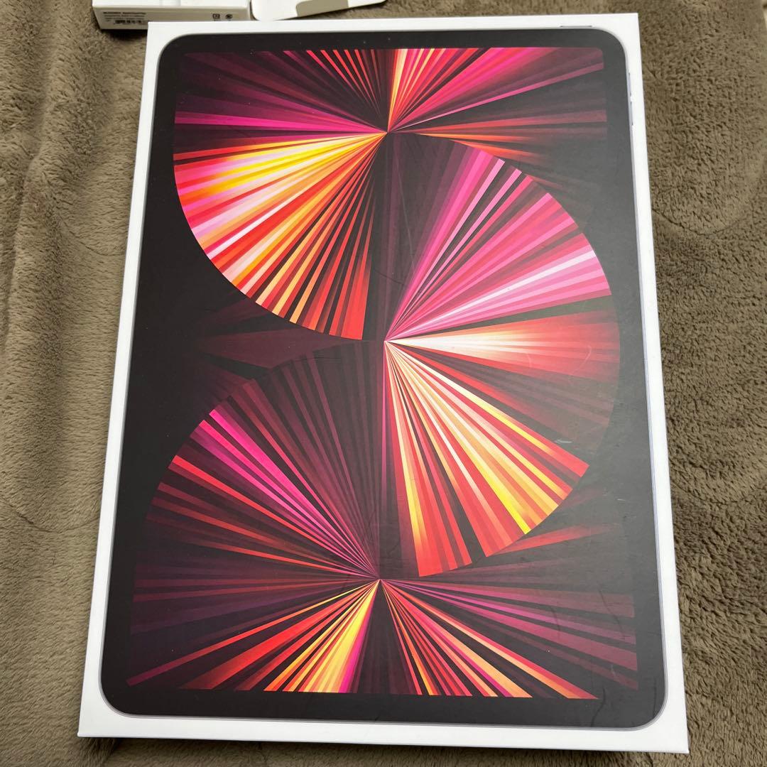 iPad Pro (11インチ) 第3世代 256GB Wi-Fiモデル本体のみ