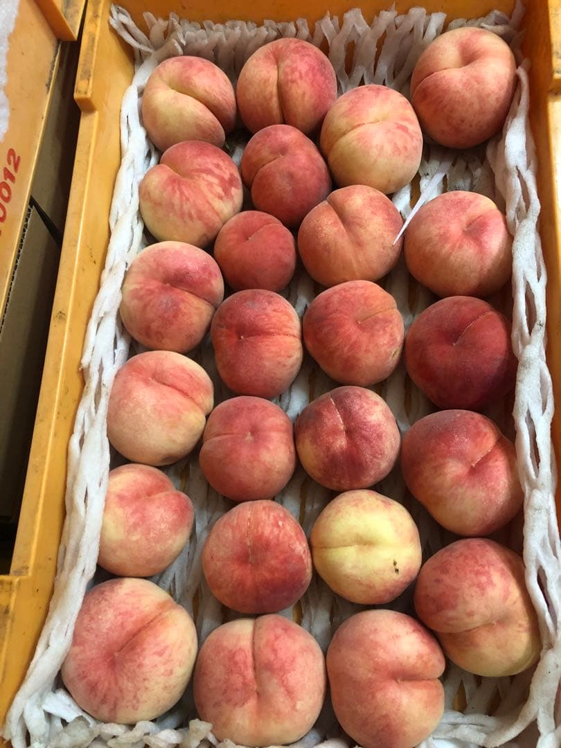 122.早勝ち福島産朝採り完熟桃箱込み15kg訳あり家庭用甘くて美味しい桃常温便