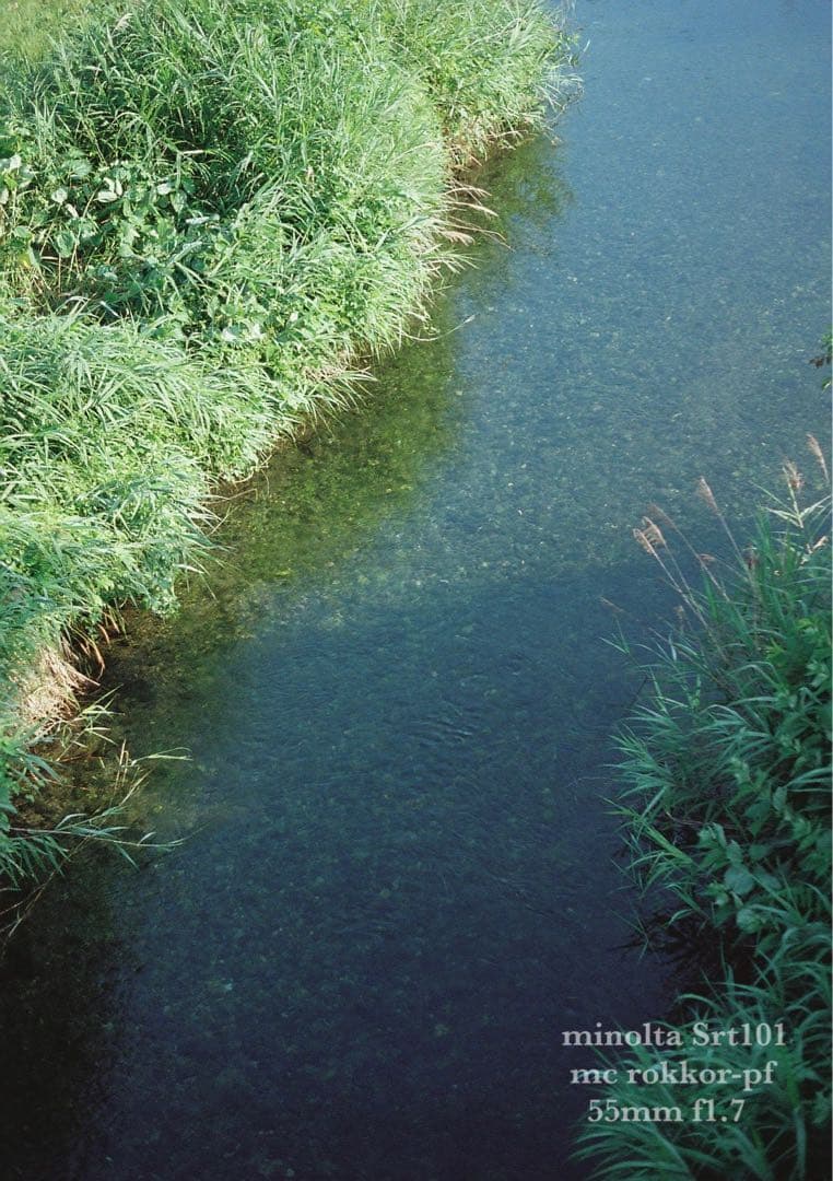 minolta srt101 ★美品＊完動品＊初期保証★緑のロッコール★作例多数