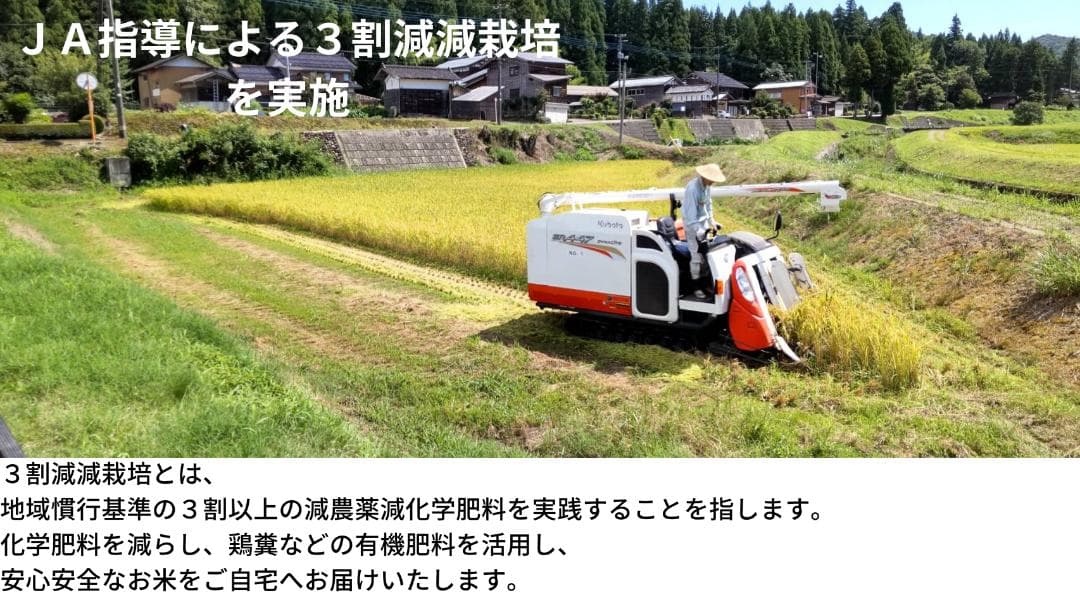 令和７年新潟産コシヒカリ　玄米20Kg