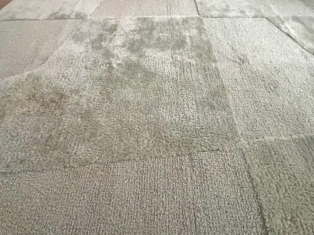 unico EPET(エペット) ラグ　140×200 人気No.2