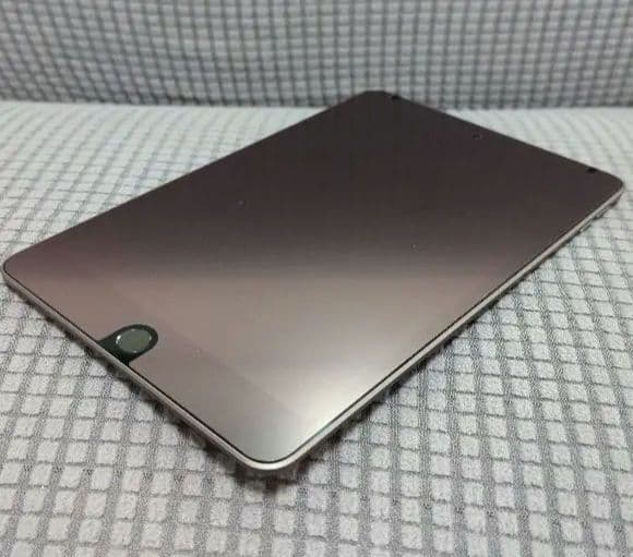 iPad Mini 第5世代 64GB Wi-Fi モデル