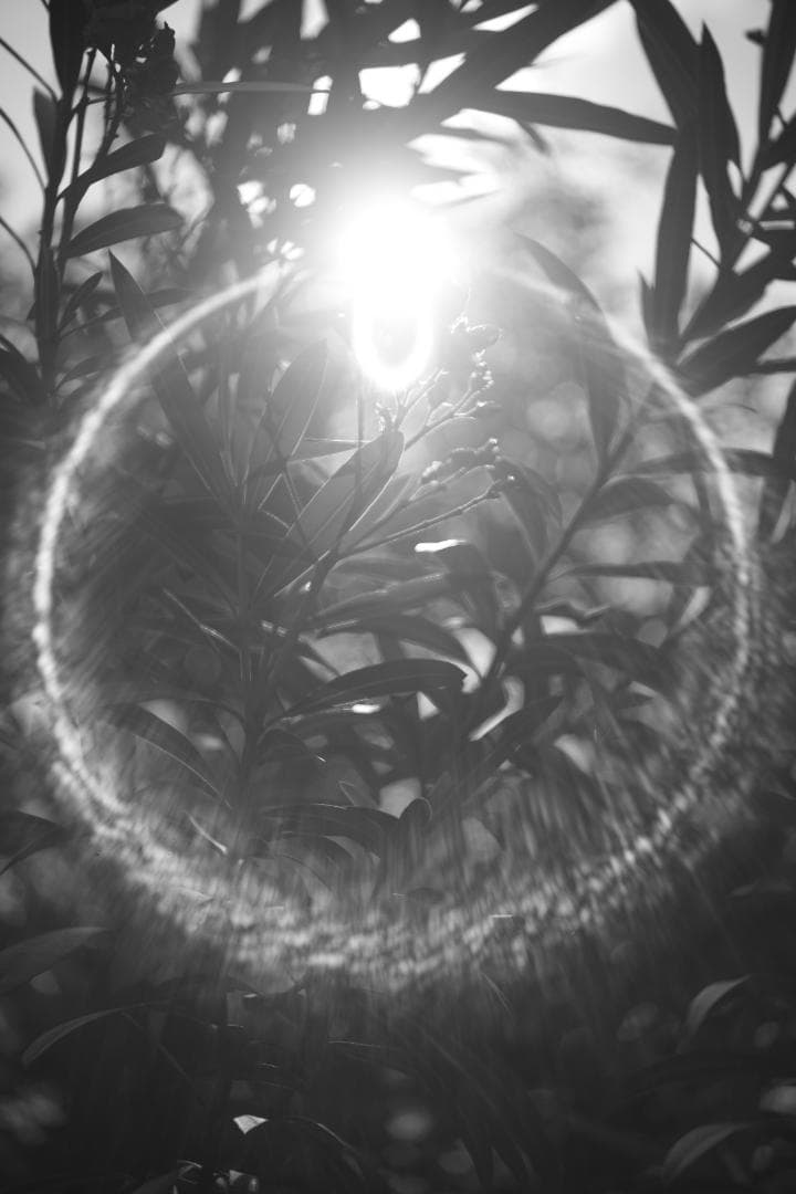 限界値下げ！Som Berthiot 50mm f2.8 NEX改 銘玉