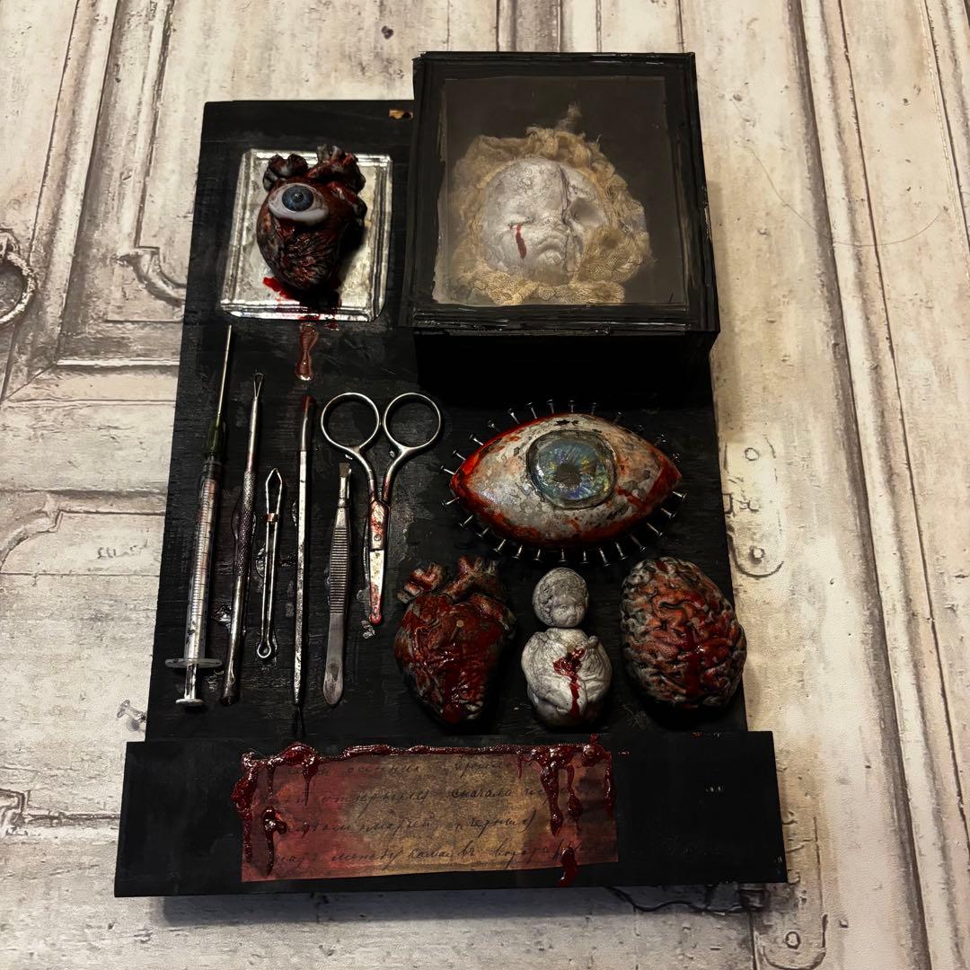 【Special Price】 赤子解剖オブジェ