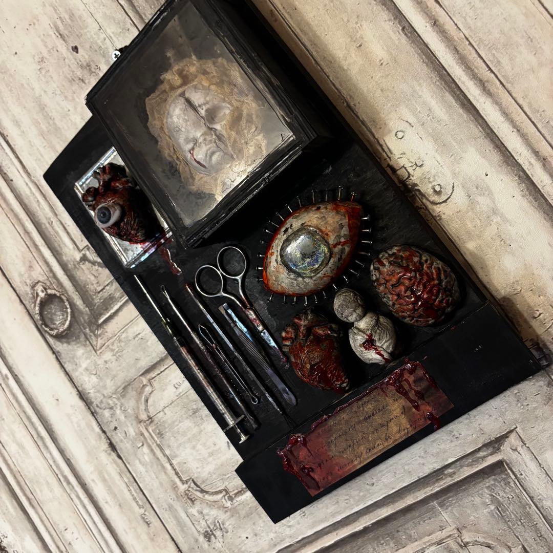 【Special Price】 赤子解剖オブジェ