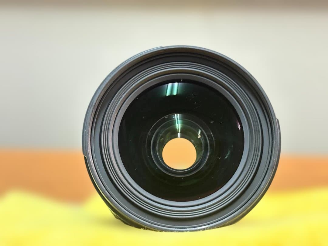 SIGMA 18-35mm F1.8 DC HSM Art（キヤノンEF用）