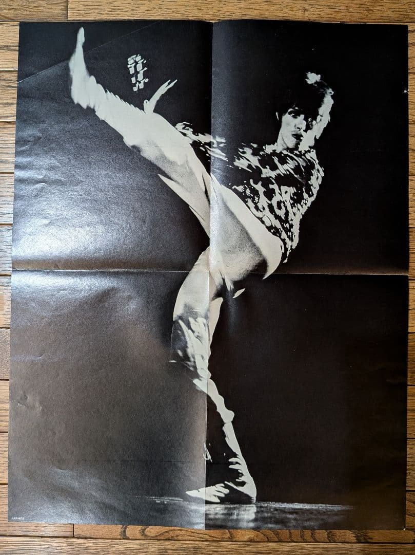 イ*ウ様 デビットボウイ THE MAN WHO SOLD THE WORLD