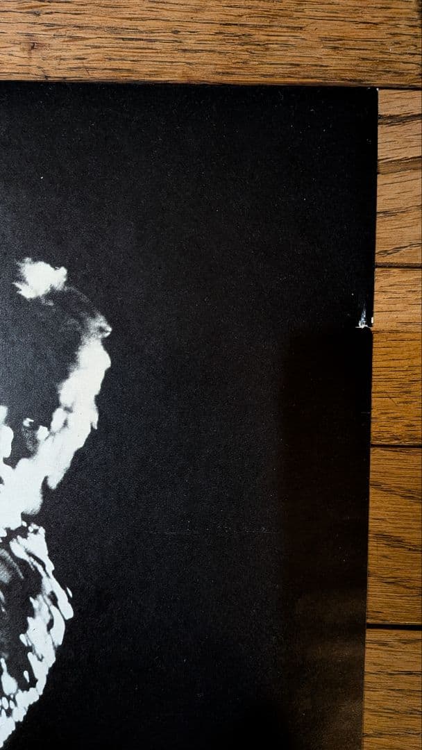 イ*ウ様 デビットボウイ THE MAN WHO SOLD THE WORLD