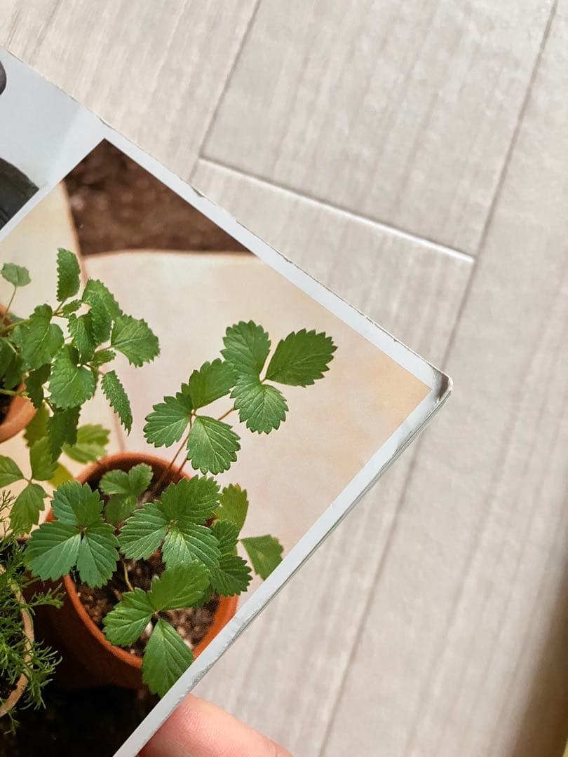 ユーキャン「楽しい園芸講座」　テキスト6冊＋DVD3枚＋園芸手帳