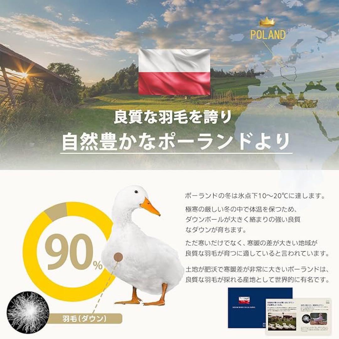 A 羽毛布団 ダブル　ダウン90%　アレルGプラス加工　充填量1kg