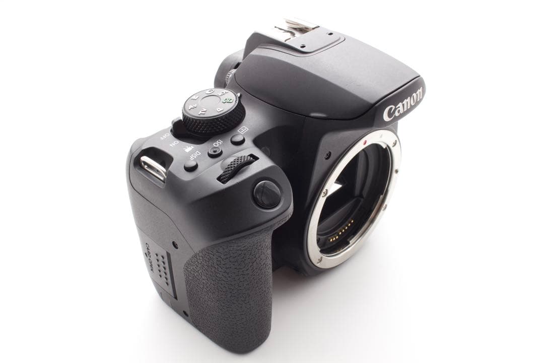 ゲリラセール❣️Canon EOS Kiss X10i Wレンズ　50mm単焦点