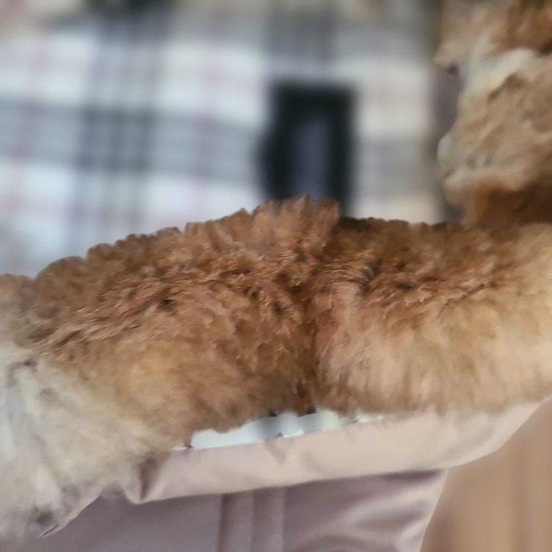 バーバリーブラックレーベル ファー ダウンジャケット キルティング 襟ファー