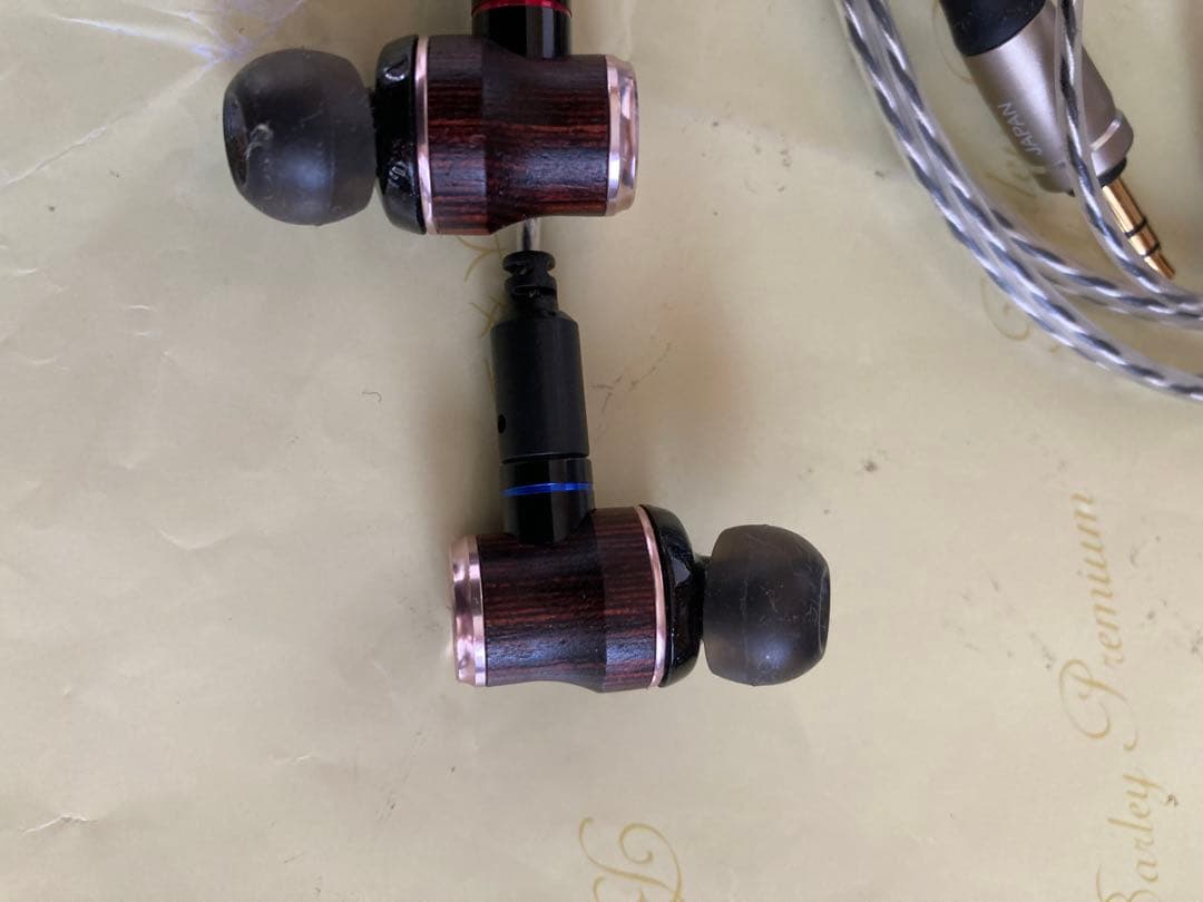 JVC HA-FW02 リケーブル可能イヤホン