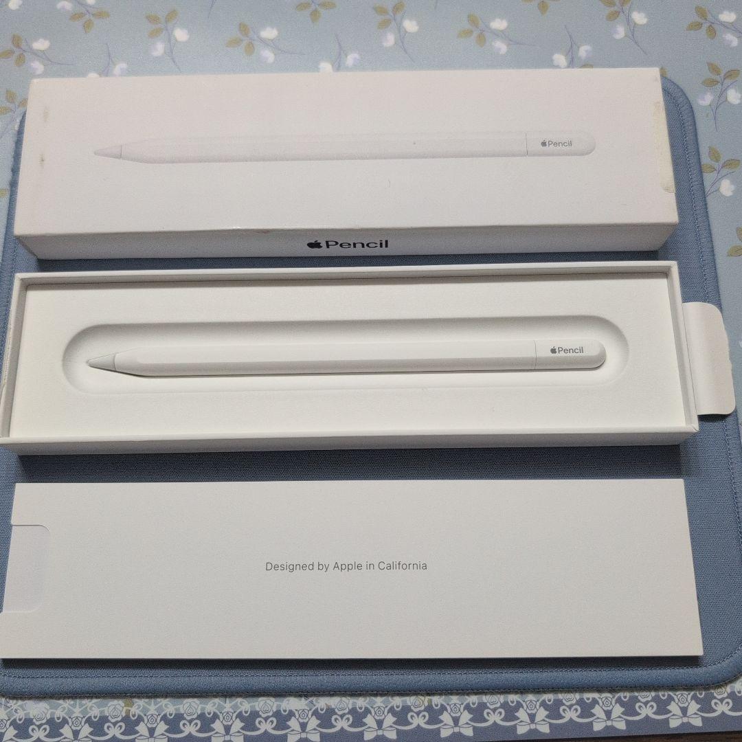 Apple Pencil USB-C アップルペンシル USBC 鉛筆