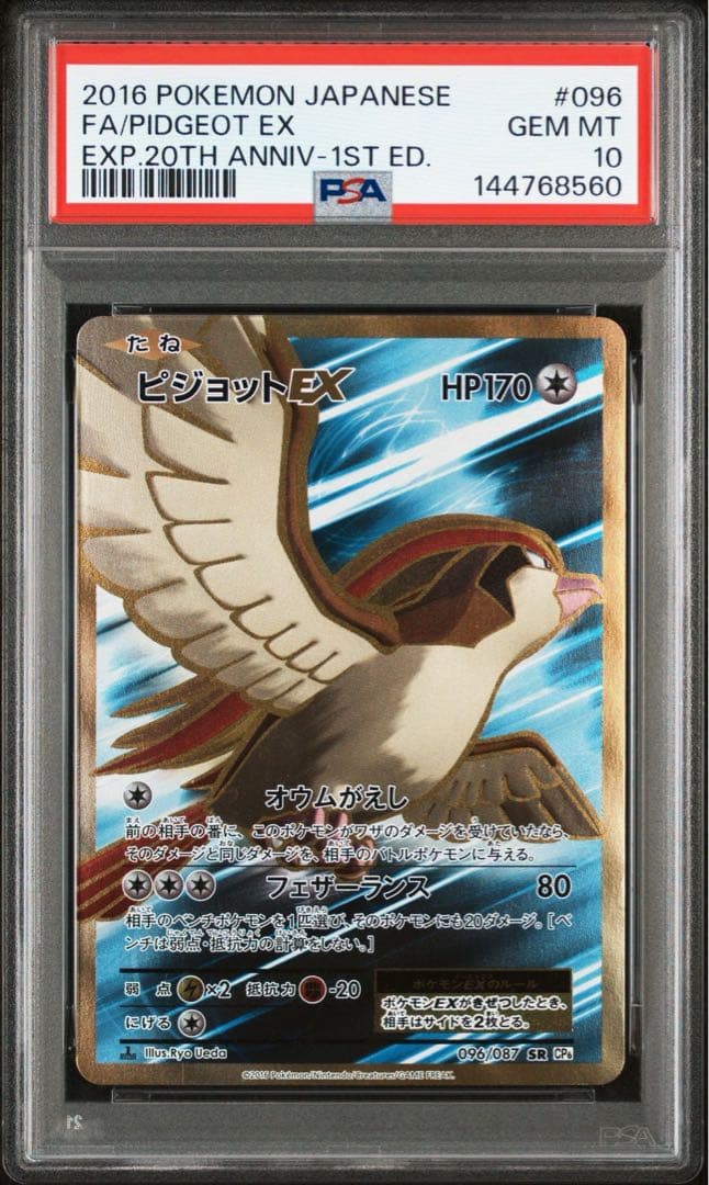 ピジョットEX SR PSA10