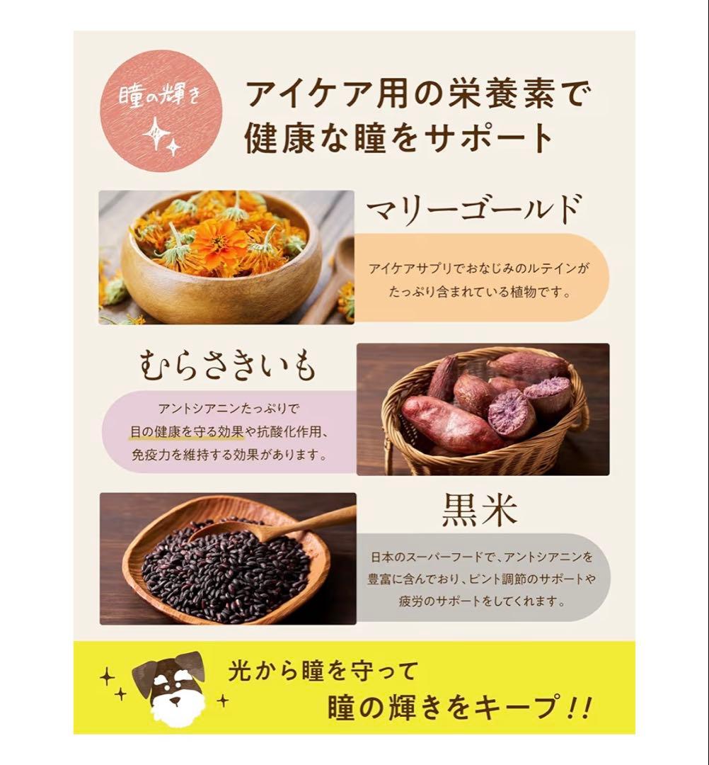 シニアのためのこのこのごはん 新品未開封2袋賞味期限2026.12.08