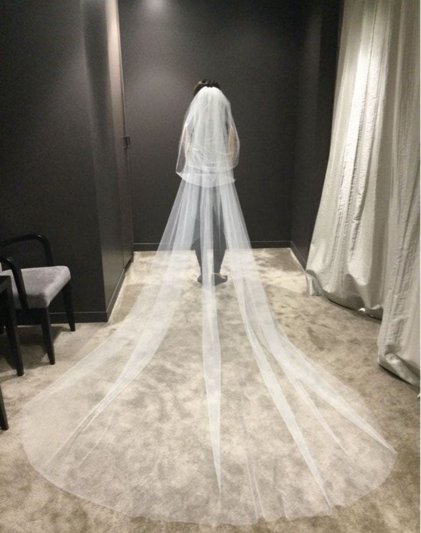 【美品】vera wang ３段ベール(ブランド専用カバー付き)