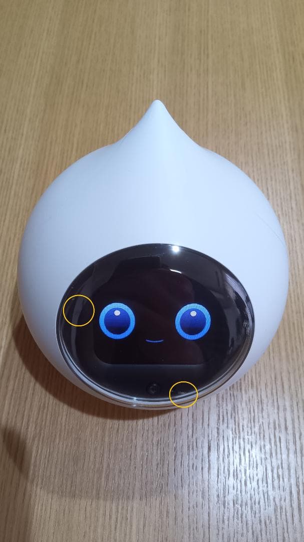 Romi Lacatan モデル　ロミィ　AI会話ロボット　mixi