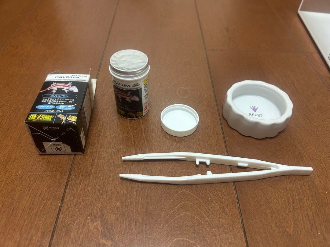 レオパ 飼育セット 爬虫類 11日までに〆