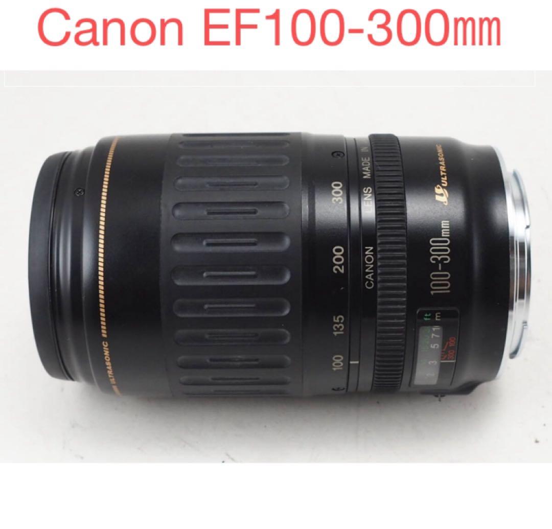 フルサイズ/望遠レンズ/ Canon EF 100-300USM