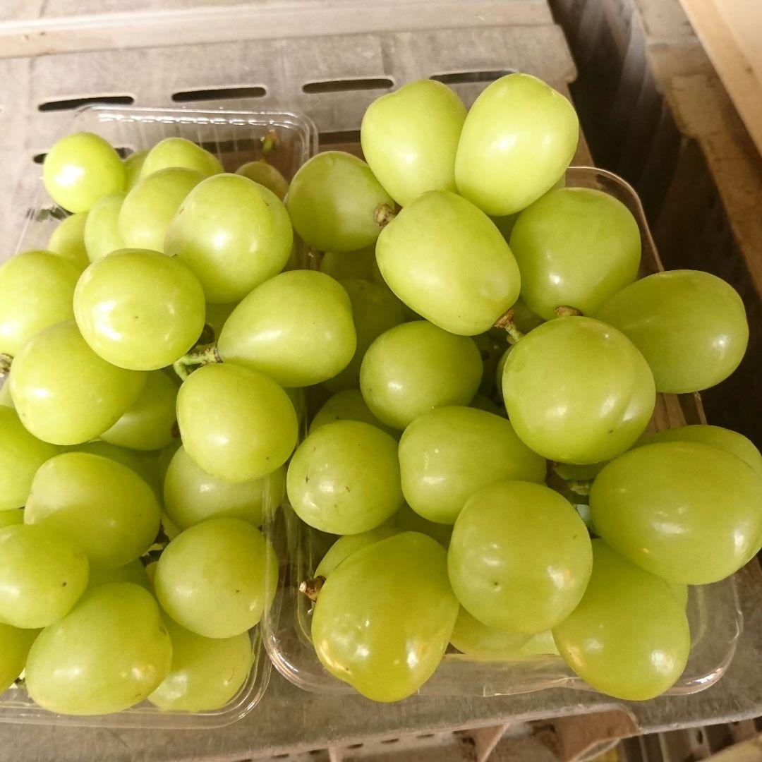 シャインマスカット４キロ、クイーンニーナ１キロ