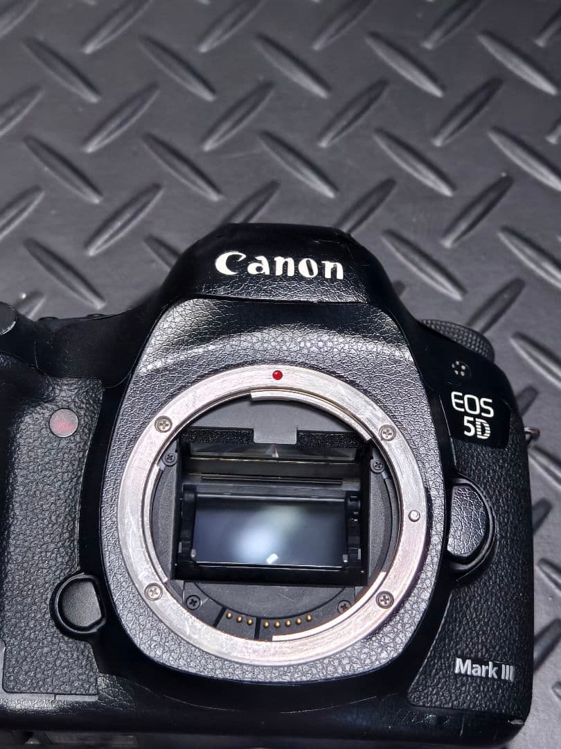 Canon EOS 5D Mark III 本体 24-105mm F4