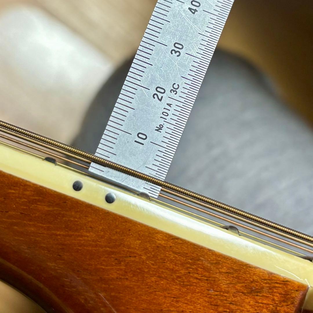 美品【トランスギター】James JF400-NAT ケース付き（値下げ中）