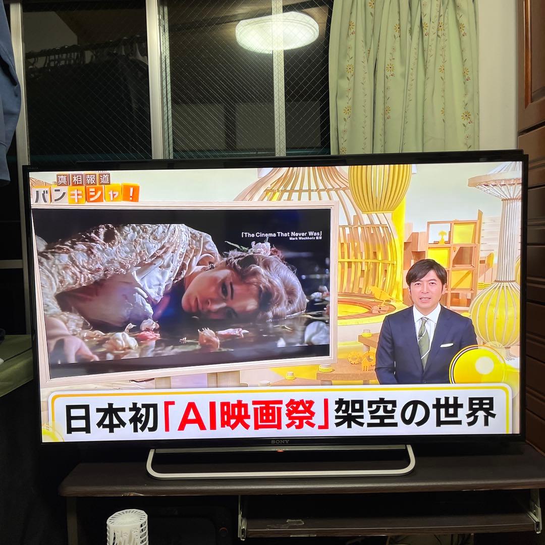 値下げ‼️SONY KDL-48W600B 48型液晶テレビネット番組視聴可