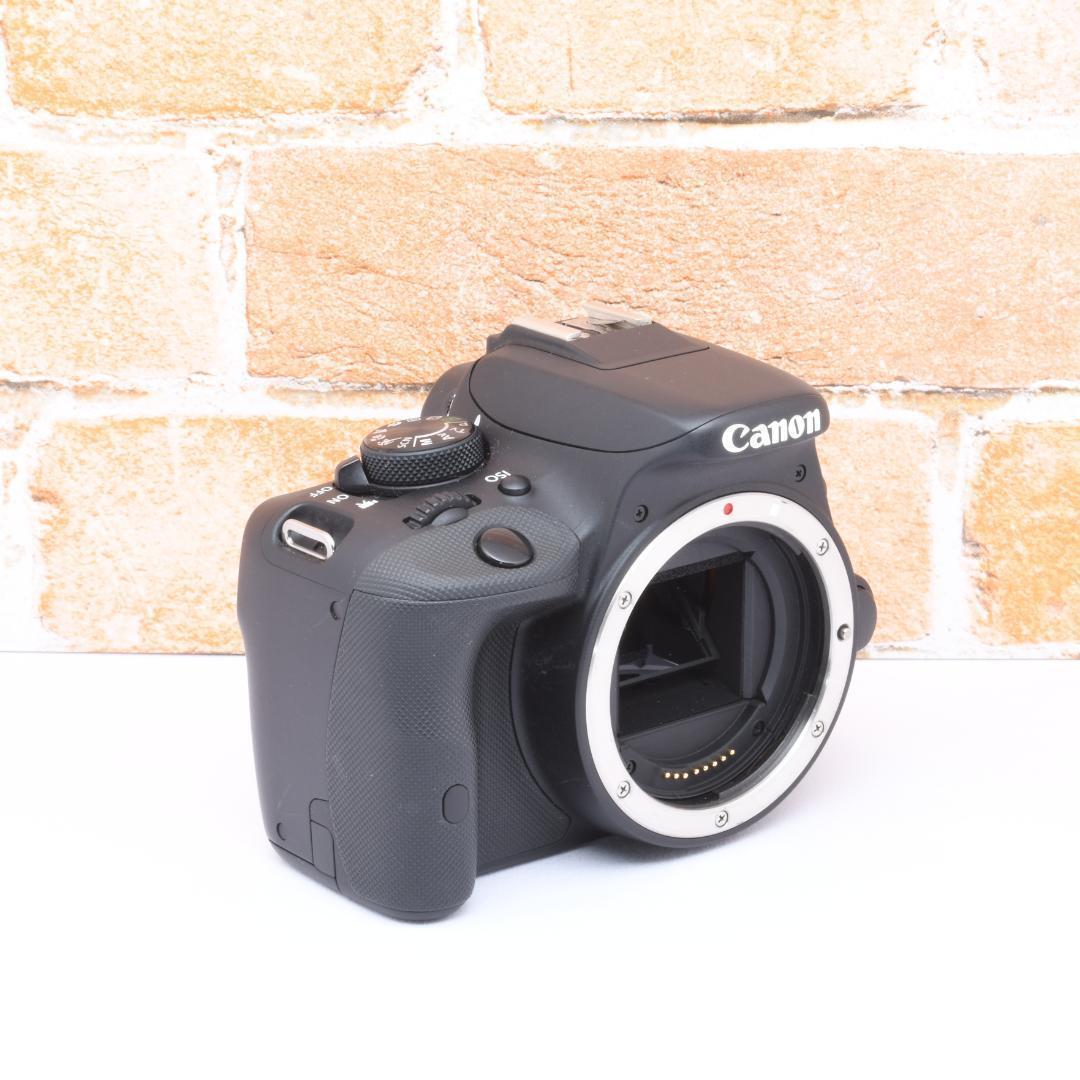 一眼レフ入門✨Canon Kiss X7✨届いた日から使えるセット✨高画質