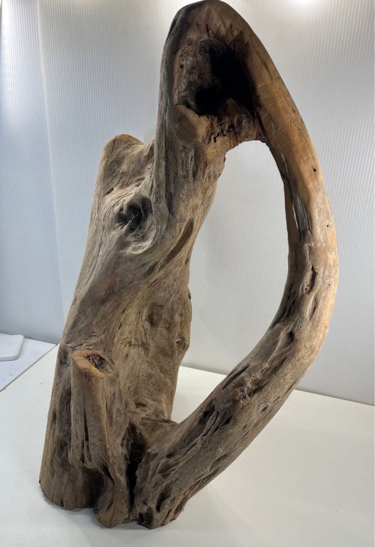 m10特大流木 アク抜き済み 爬虫類シェルター 登り木 インテリア オブジェ