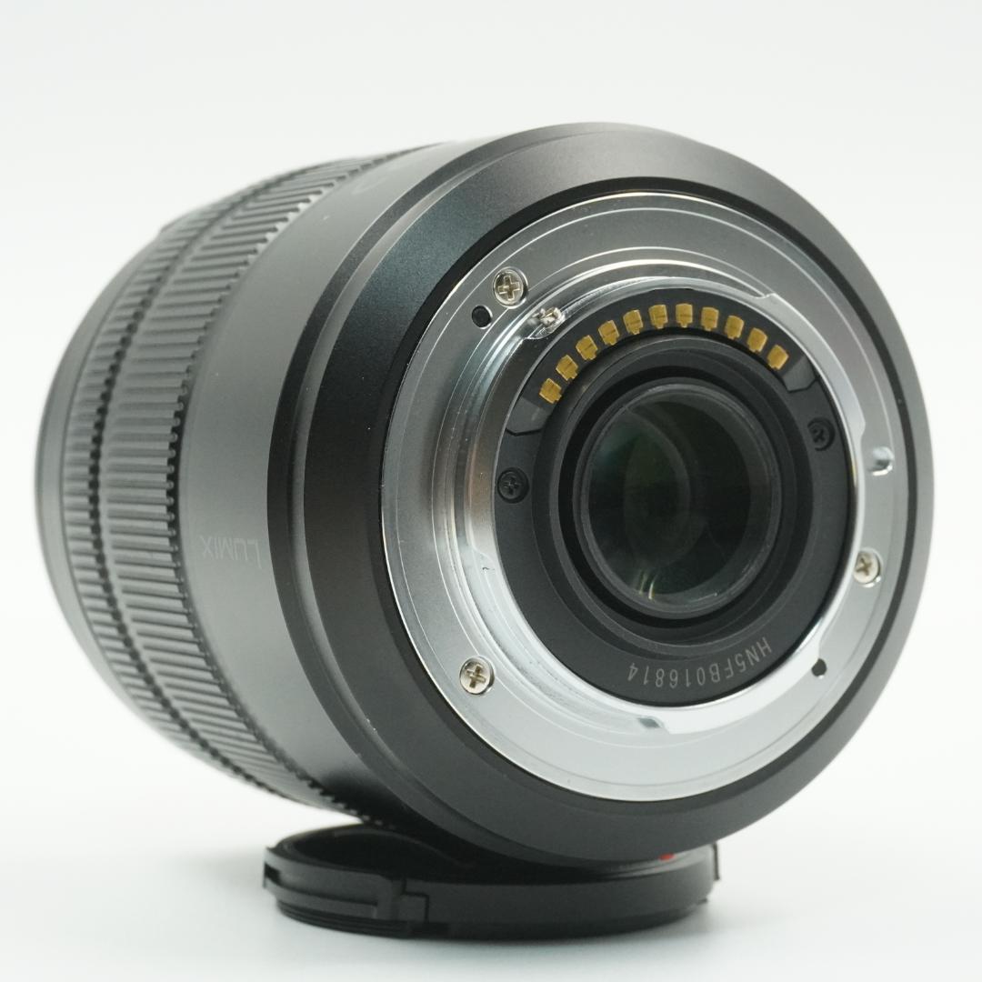 レンズ(ズーム) Panasonic G VARIO 14-140mm F3.5-5.6