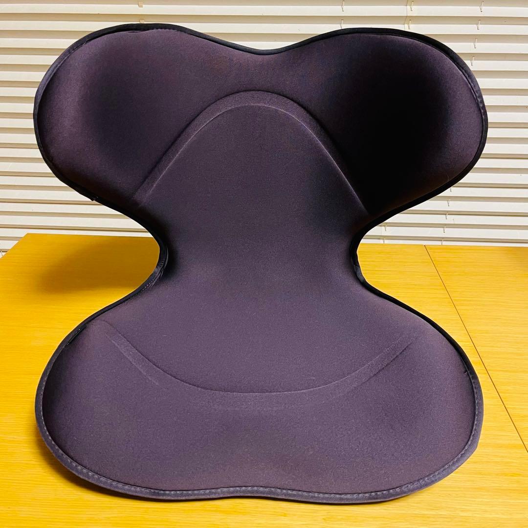【美品】Style SMART MTG 姿勢サポートシート 座椅子